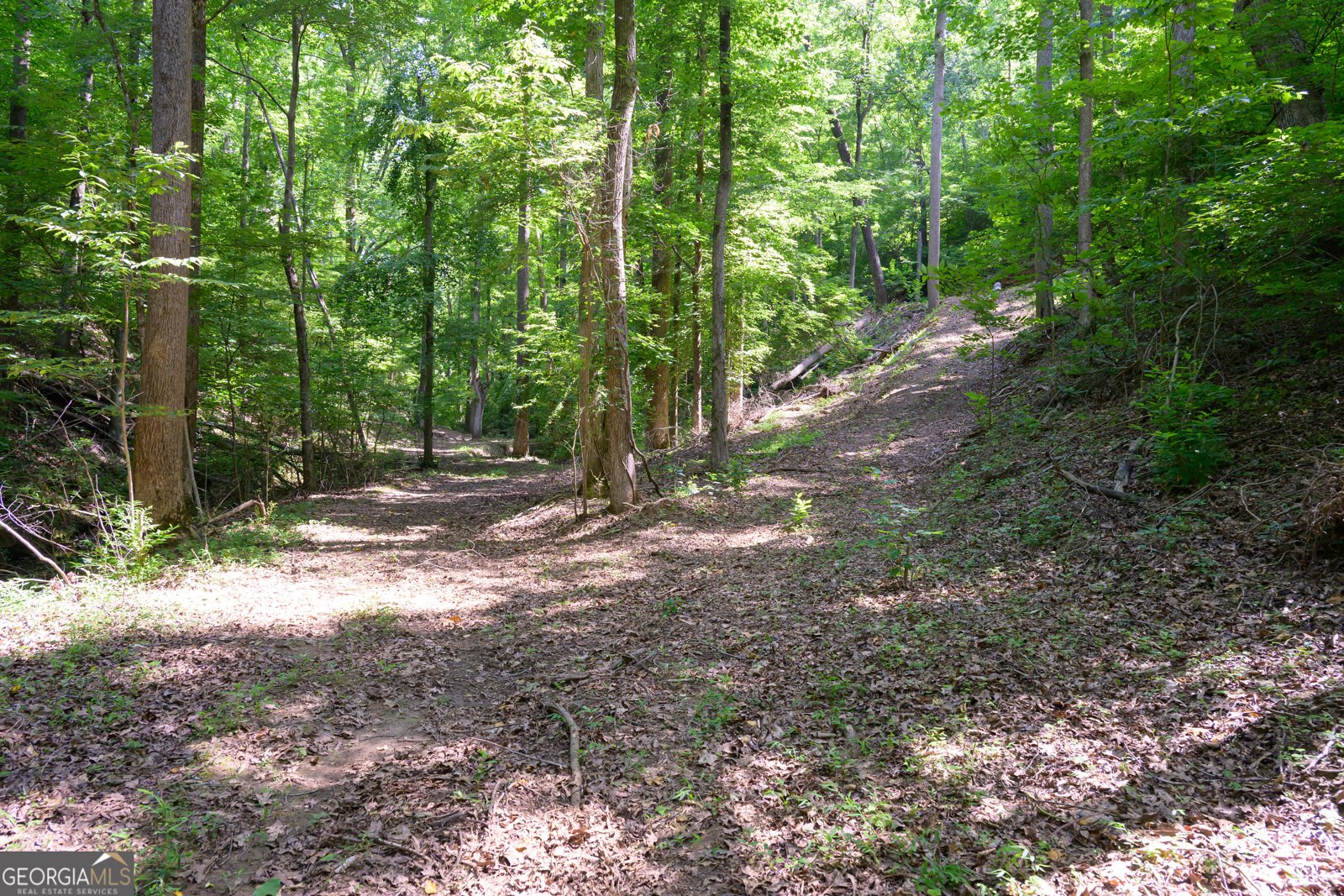 4753 Jerusalem Church Road Fairmount - 44