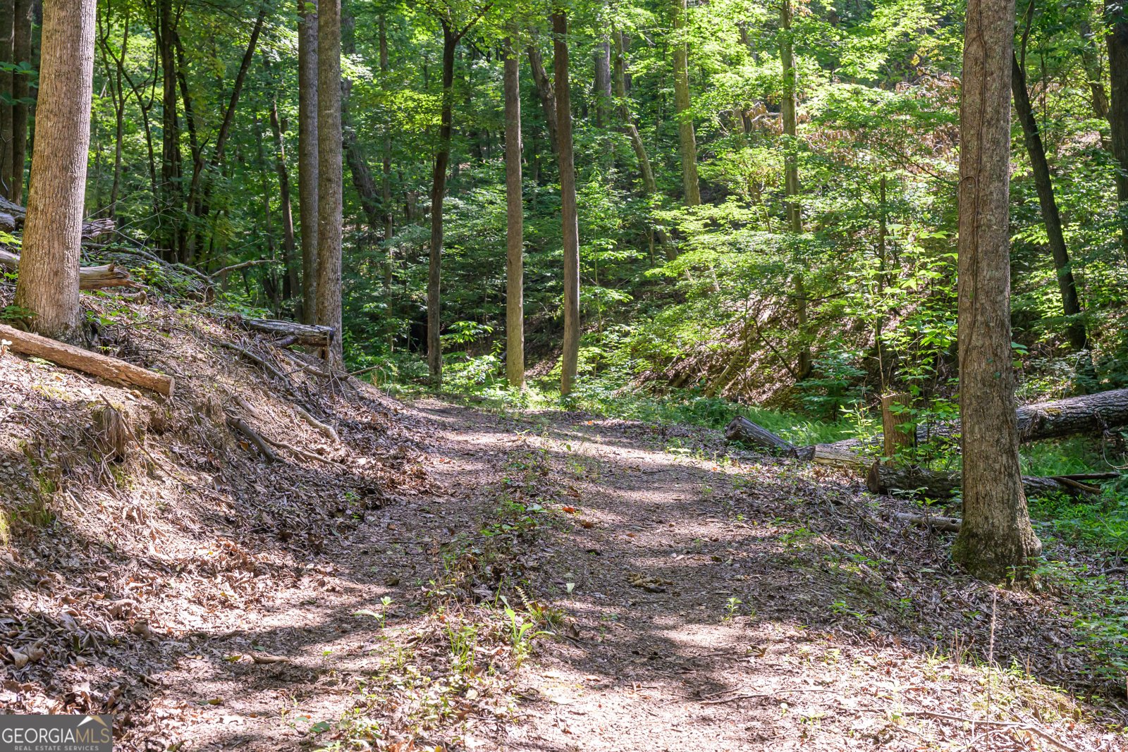 4753 Jerusalem Church Road Fairmount - 46