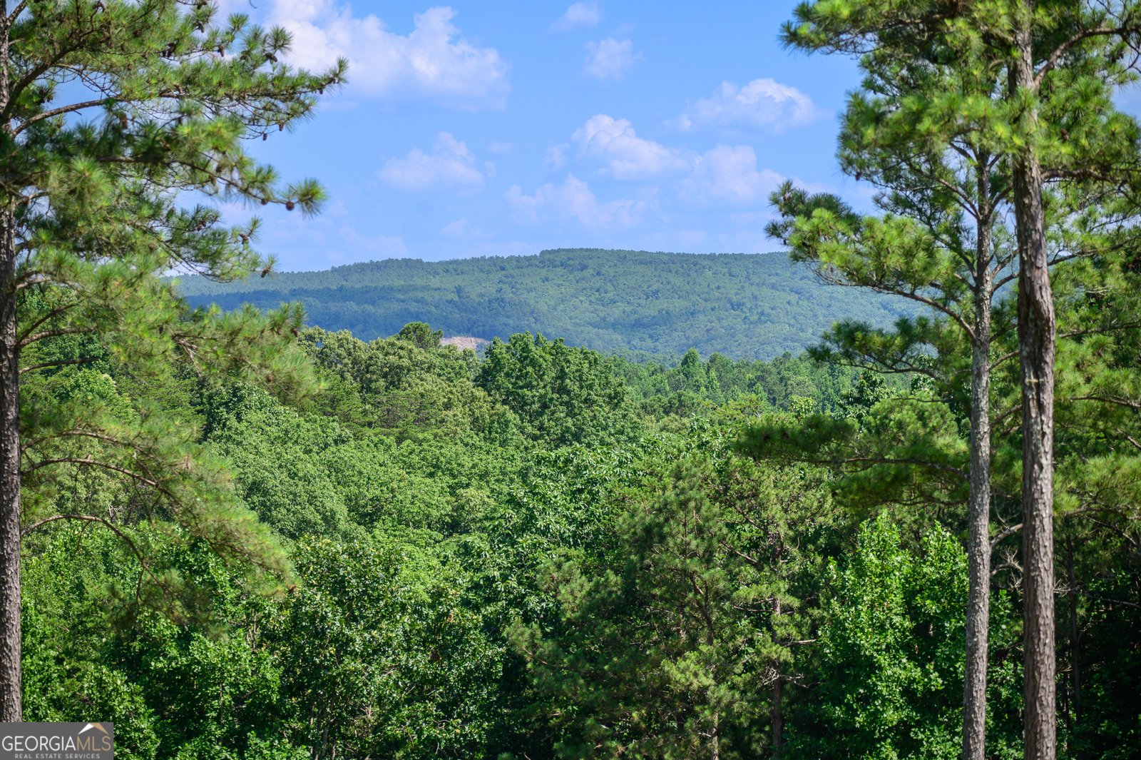 4753 Jerusalem Church Road Fairmount - 48