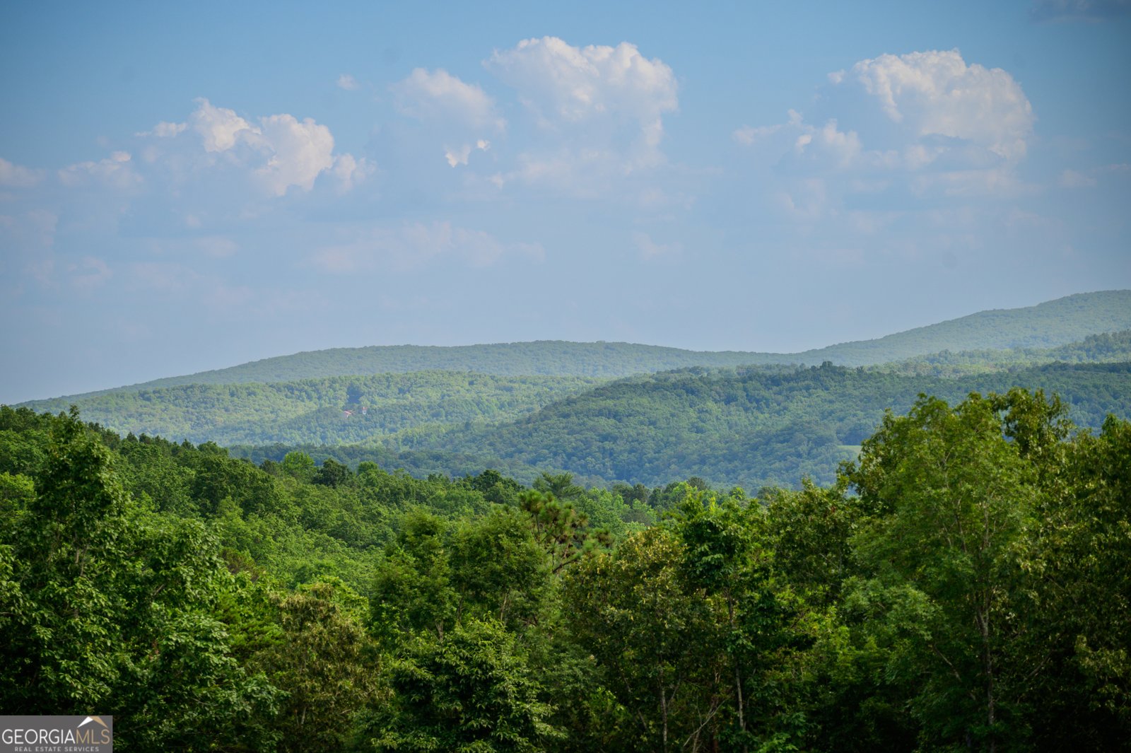 4753 Jerusalem Church Road Fairmount - 50