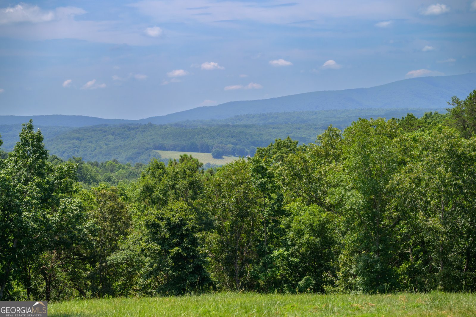 4753 Jerusalem Church Road Fairmount - 51