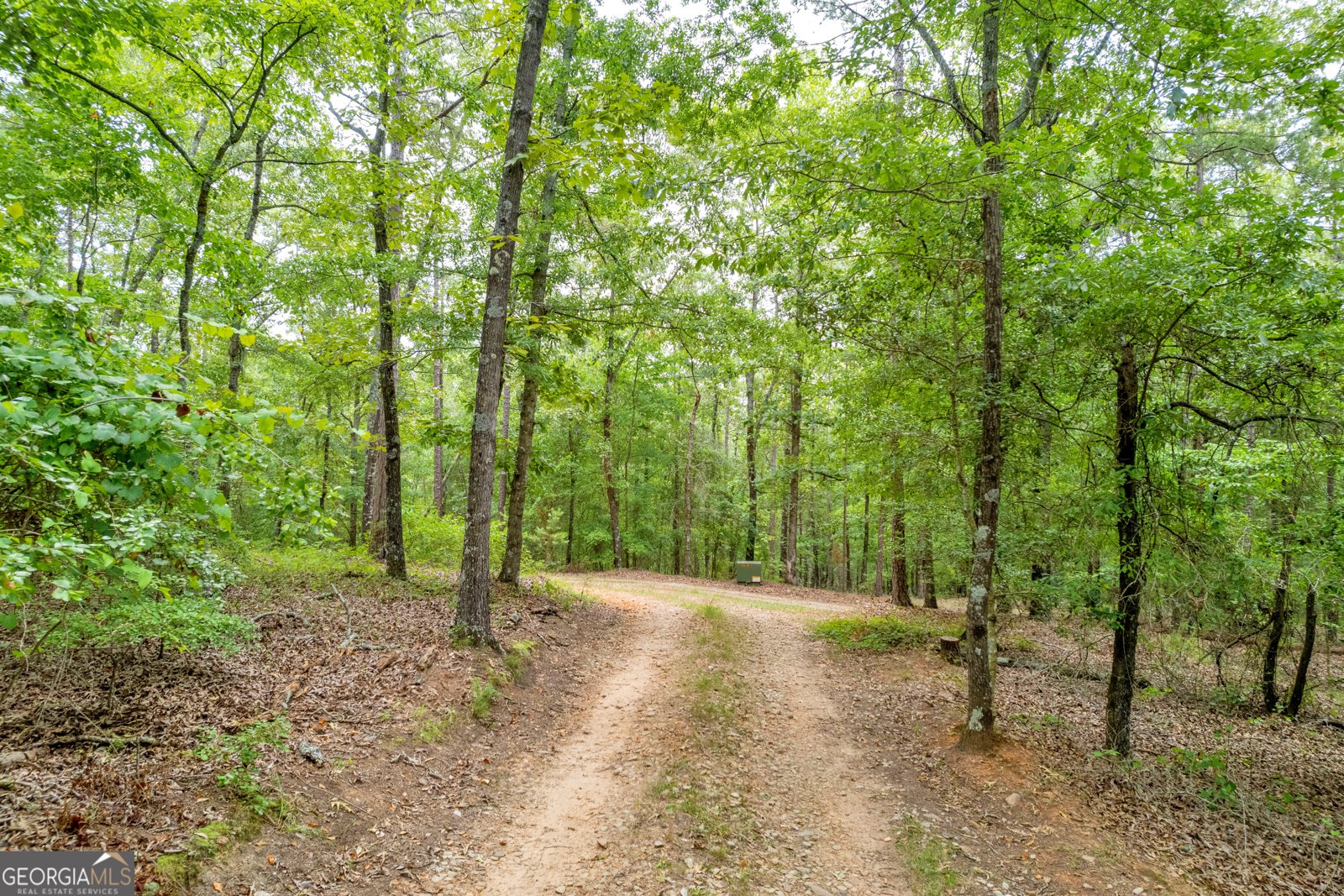 1255 Seymour Road Bowman - 20
