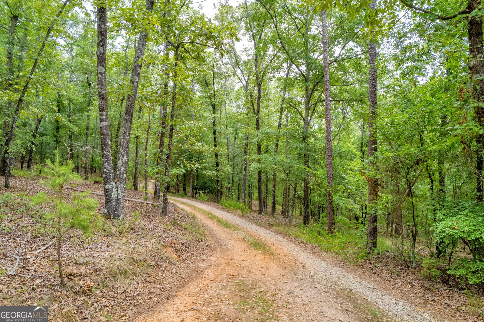 1255 Seymour Road Bowman - 21