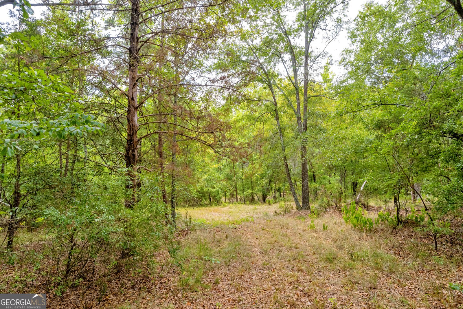 1255 Seymour Road Bowman - 24