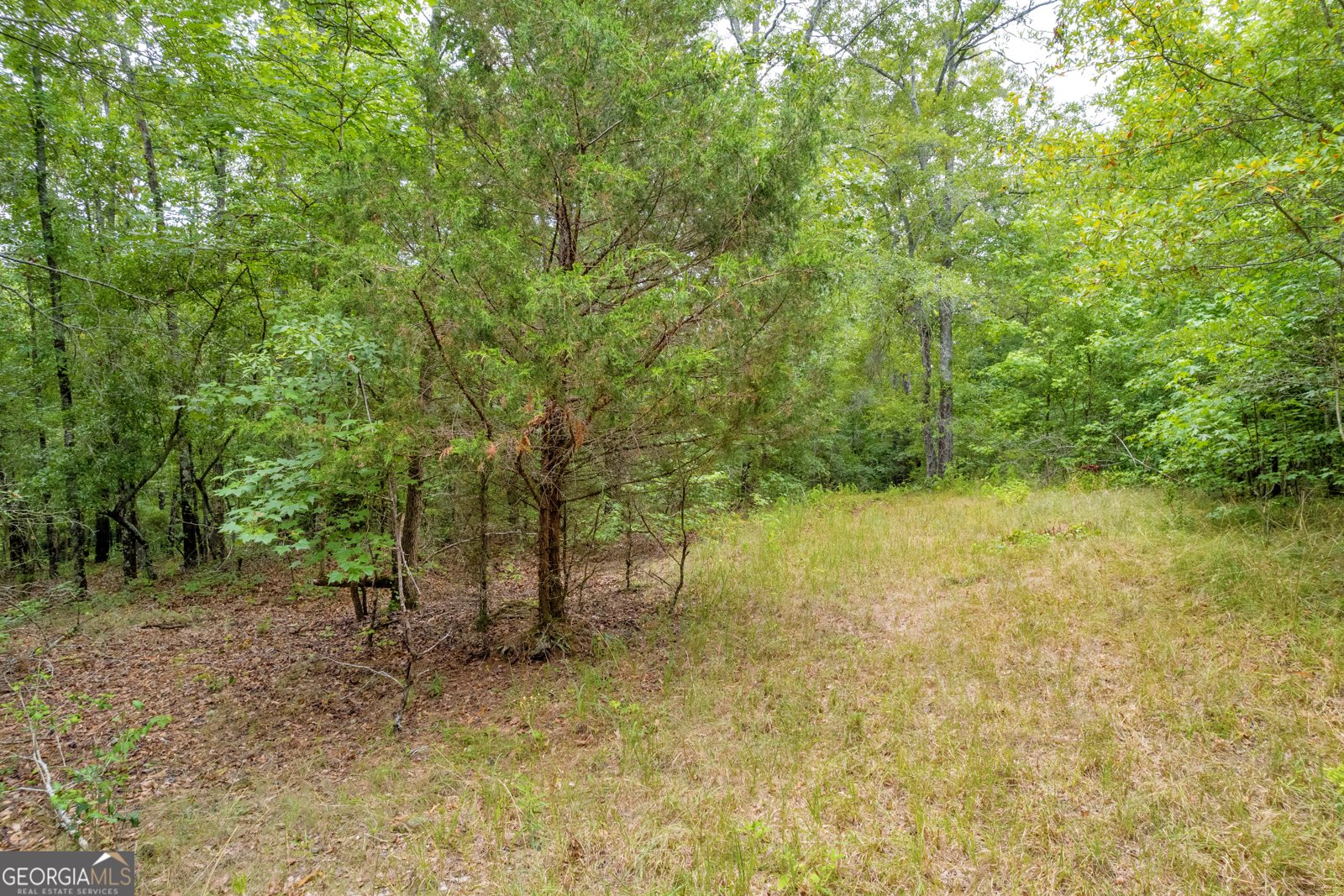 1255 Seymour Road Bowman - 25