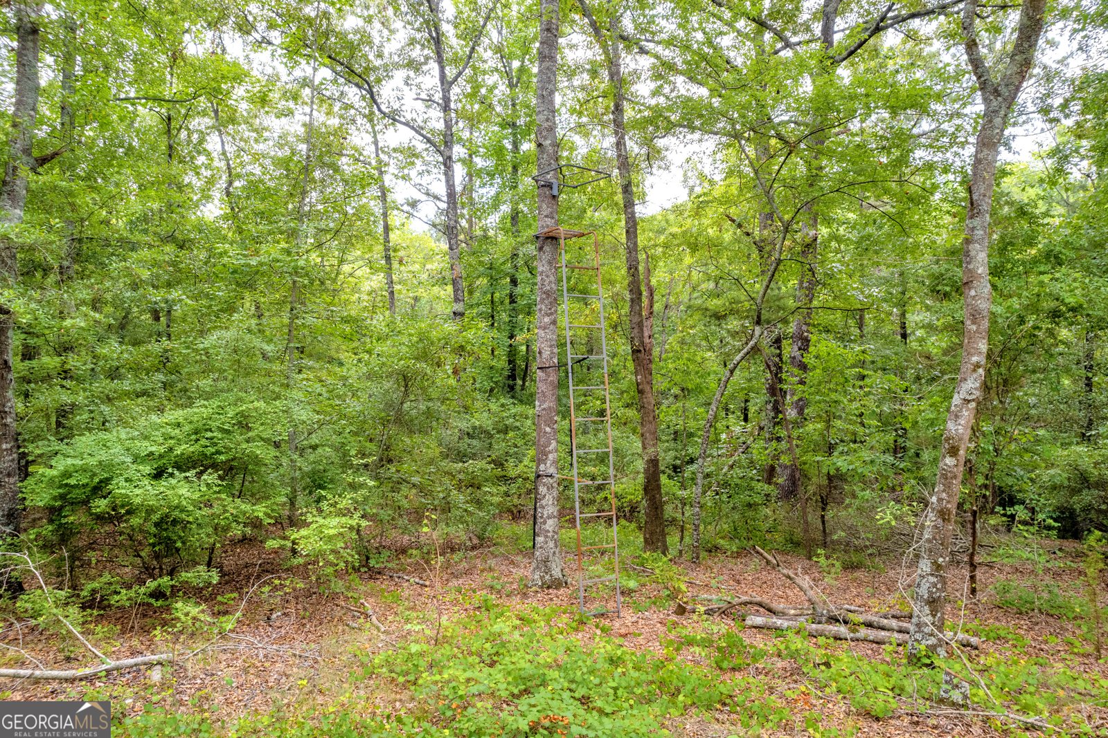 1255 Seymour Road Bowman - 26