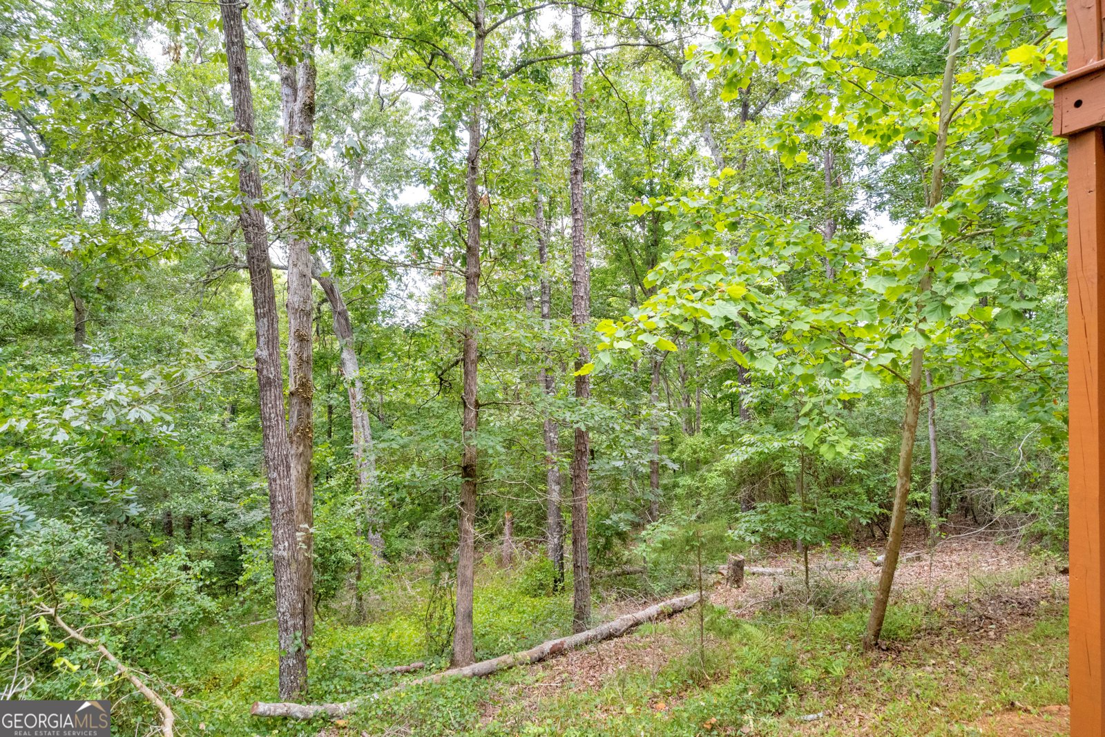 1255 Seymour Road Bowman - 63