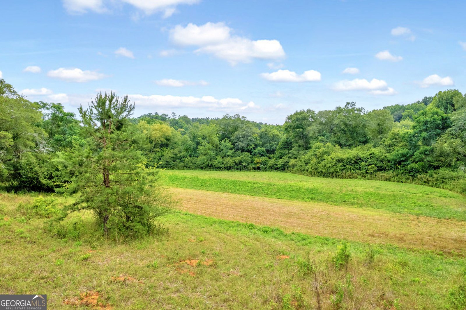 1255 Seymour Road Bowman - 64