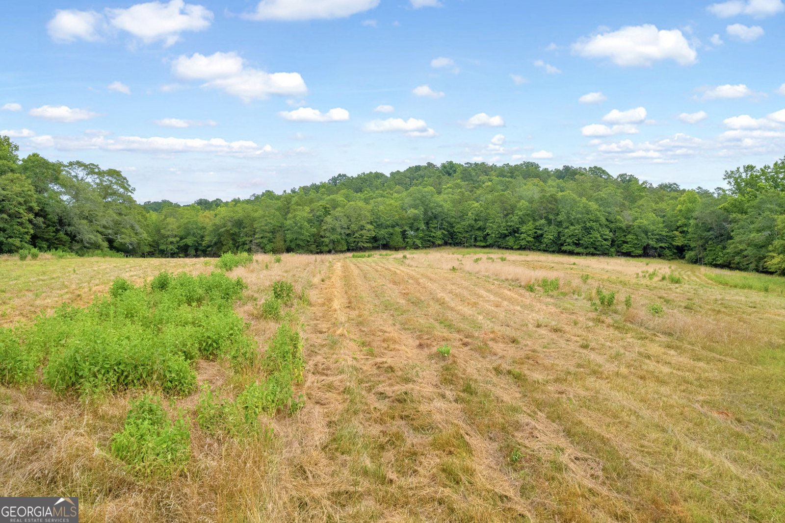 1255 Seymour Road Bowman - 65
