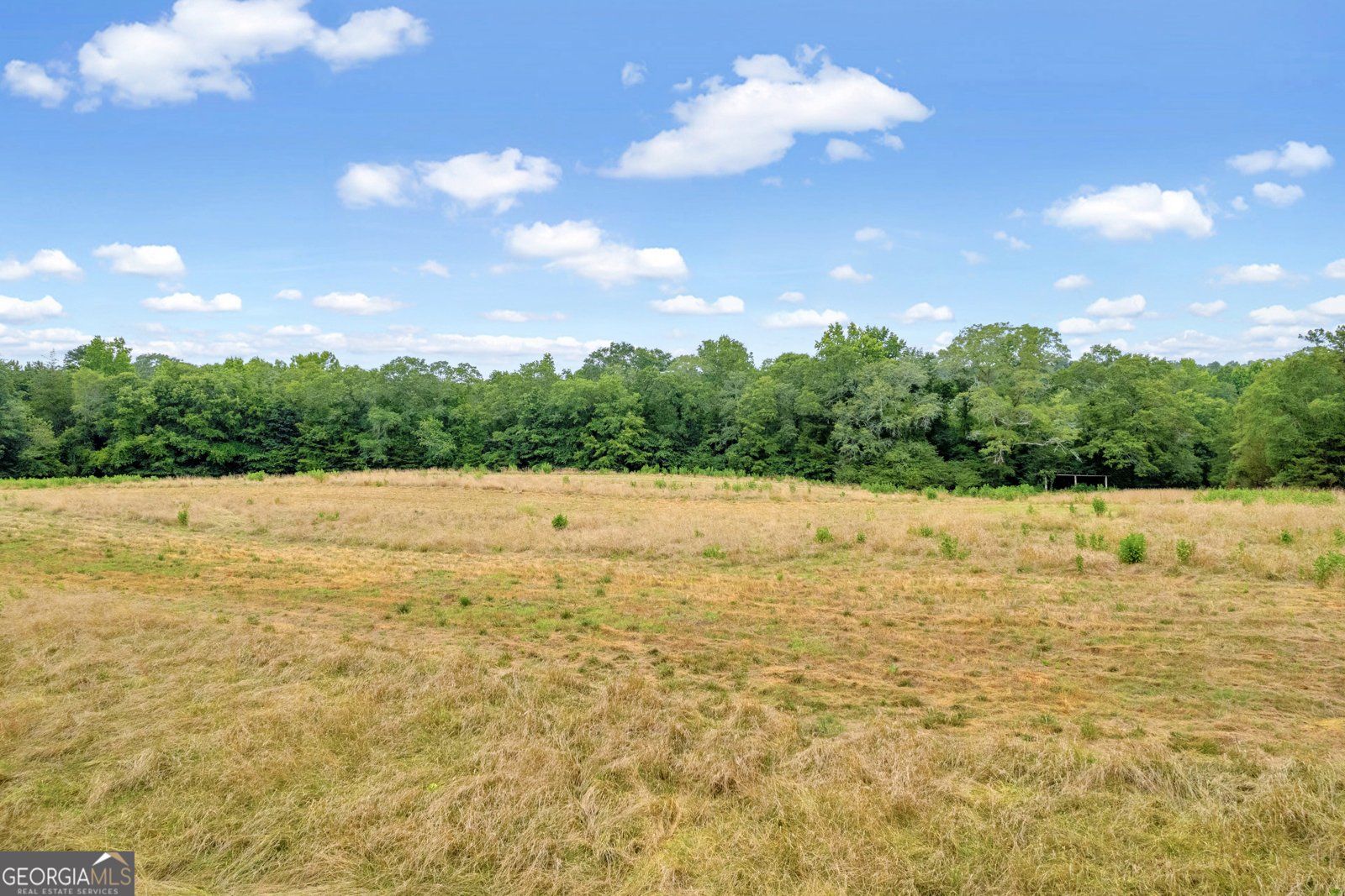 1255 Seymour Road Bowman - 66