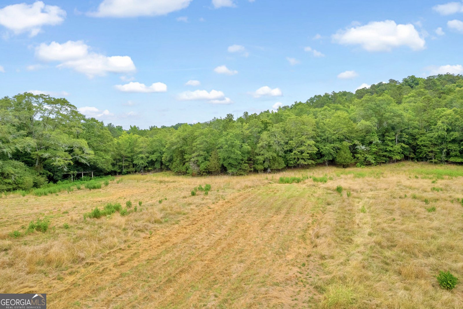 1255 Seymour Road Bowman - 67