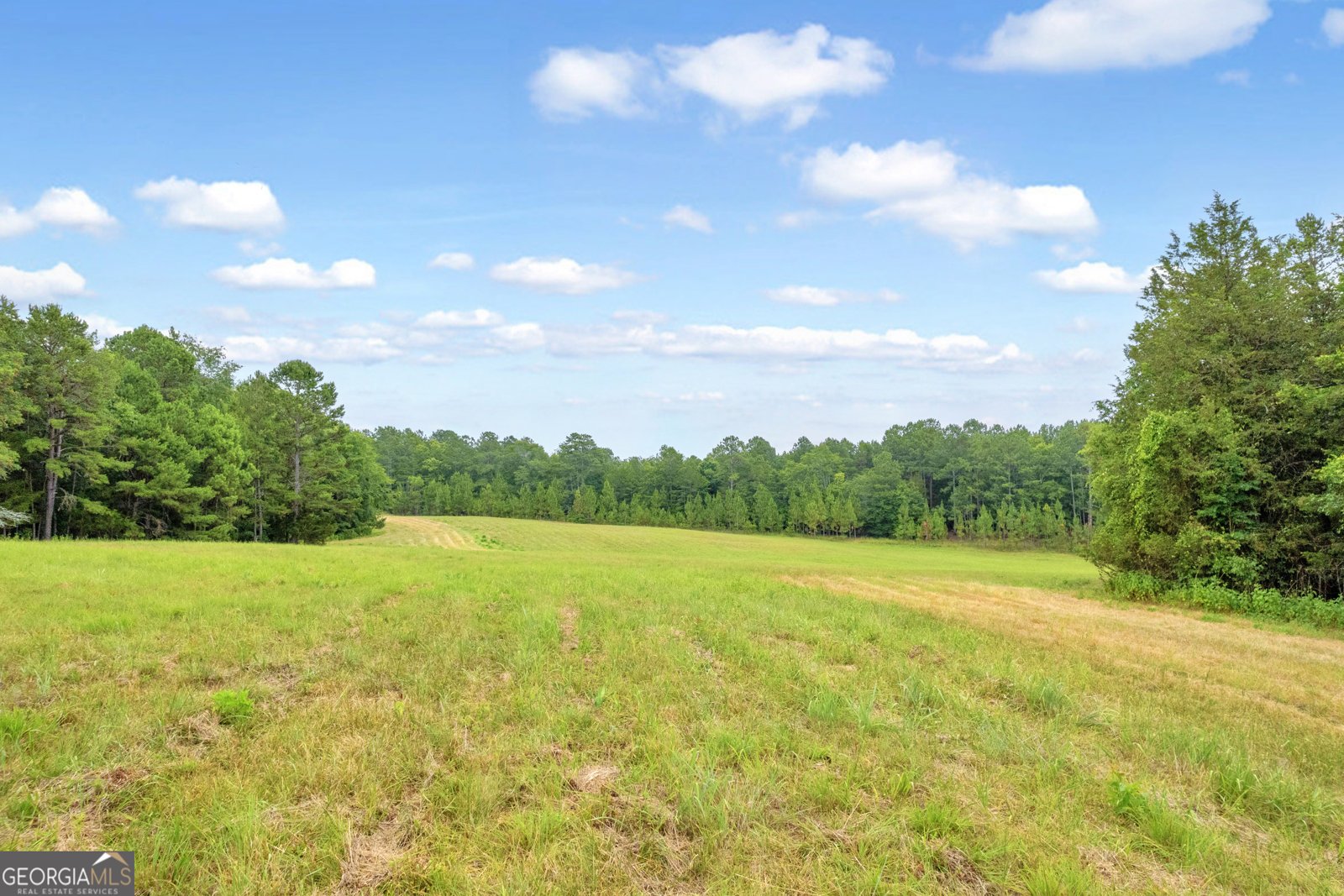 1255 Seymour Road Bowman - 68