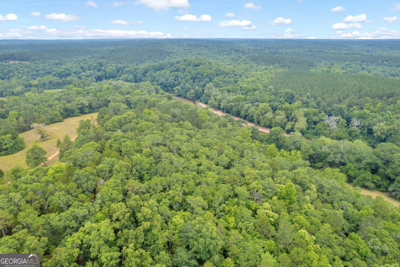 1255 Seymour Road Bowman - 69