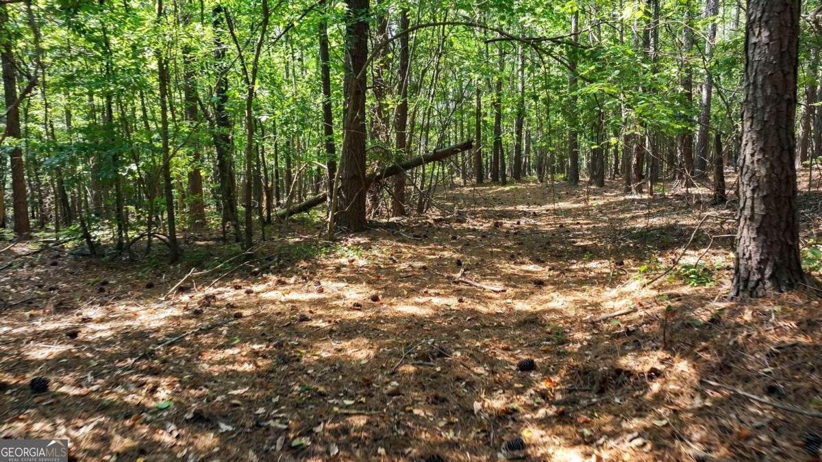 3525 Hamilton Mill Road Buford - 34