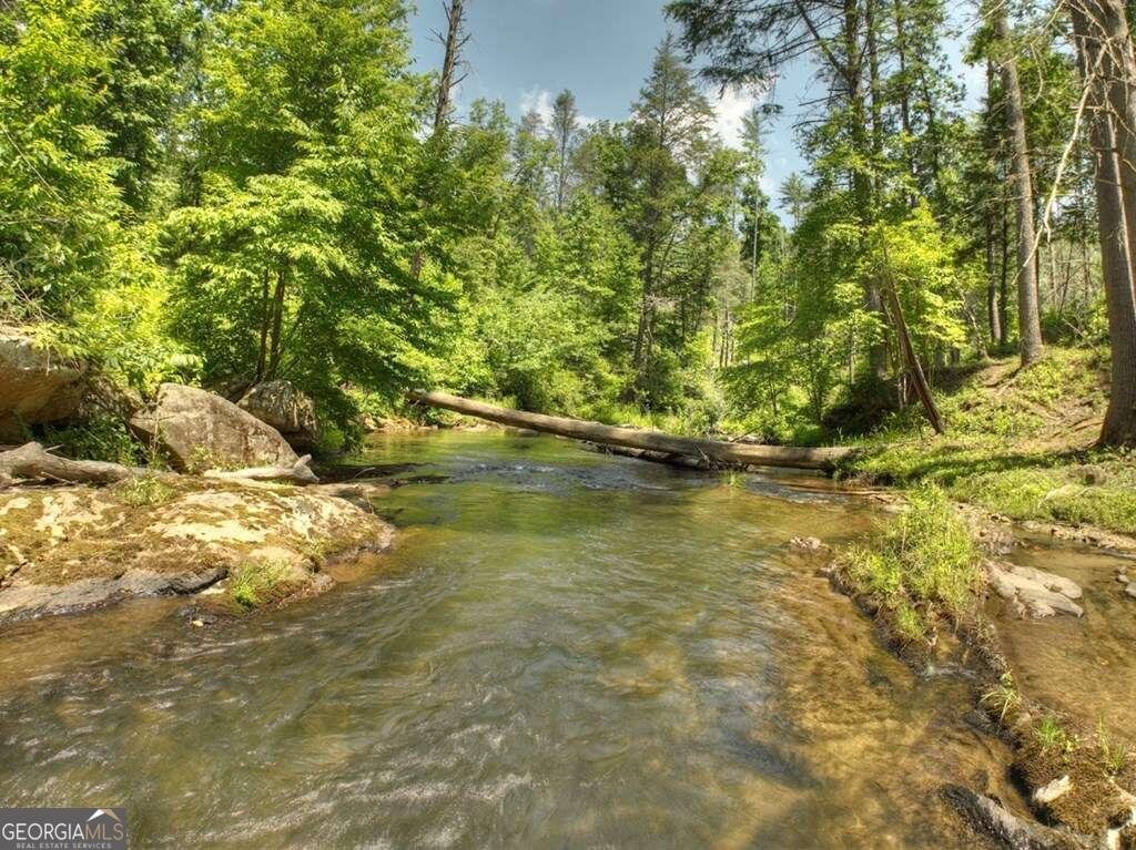 164 Water Dance Trail Blue Ridge - 14