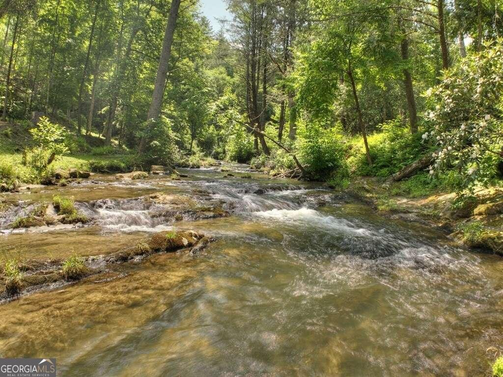 164 Water Dance Trail Blue Ridge - 15