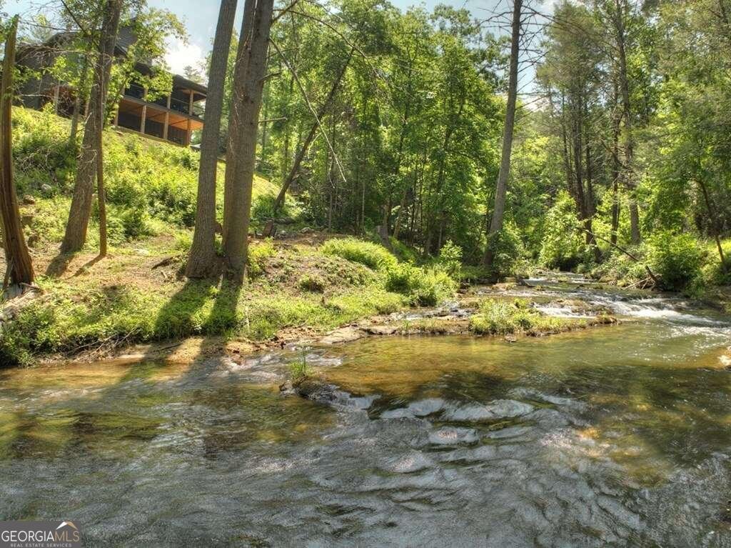 164 Water Dance Trail Blue Ridge - 16