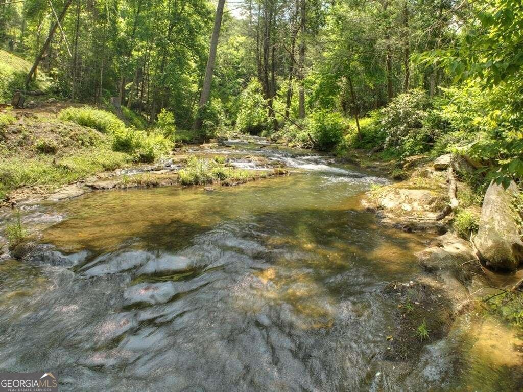 164 Water Dance Trail Blue Ridge - 17