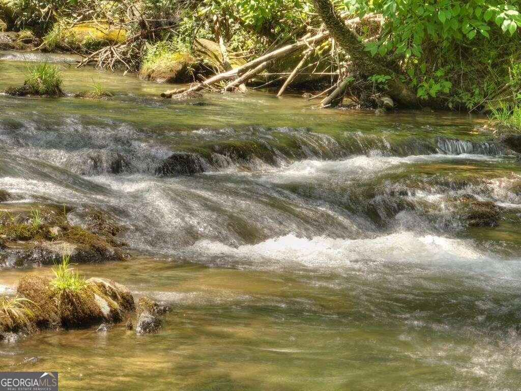 164 Water Dance Trail Blue Ridge - 19