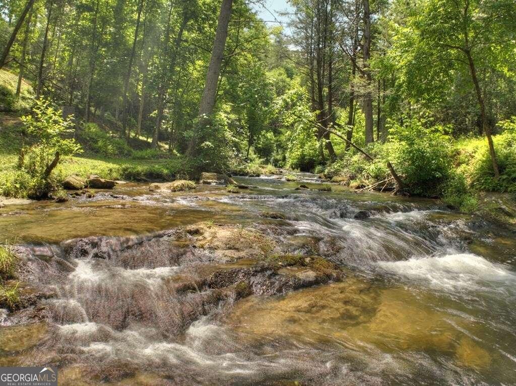 164 Water Dance Trail Blue Ridge - 20