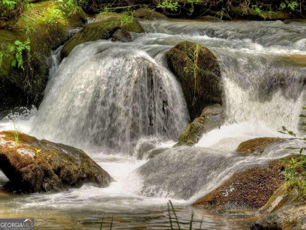 164 Water Dance Trail Blue Ridge - 3