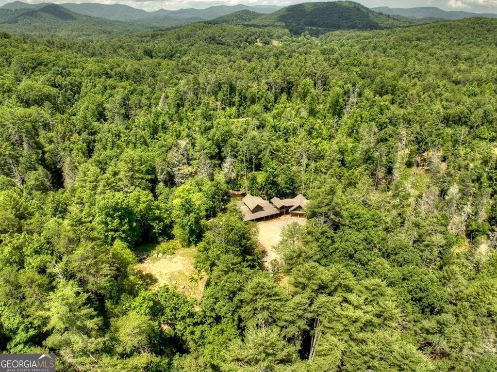 164 Water Dance Trail Blue Ridge - 30