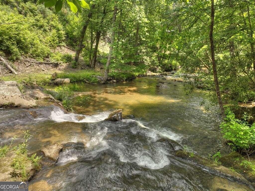 164 Water Dance Trail Blue Ridge - 31