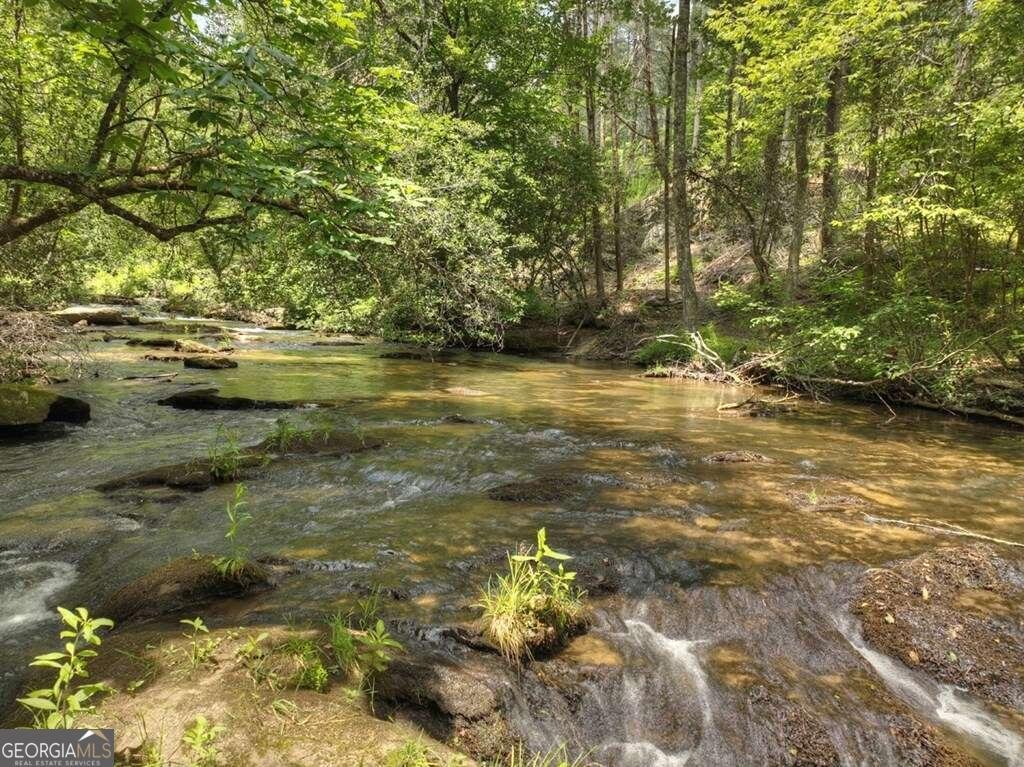 164 Water Dance Trail Blue Ridge - 32