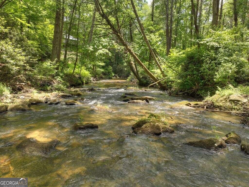 164 Water Dance Trail Blue Ridge - 34