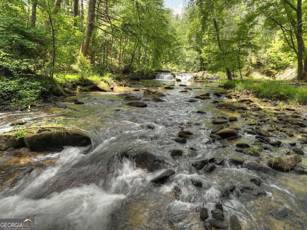 164 Water Dance Trail Blue Ridge - 35