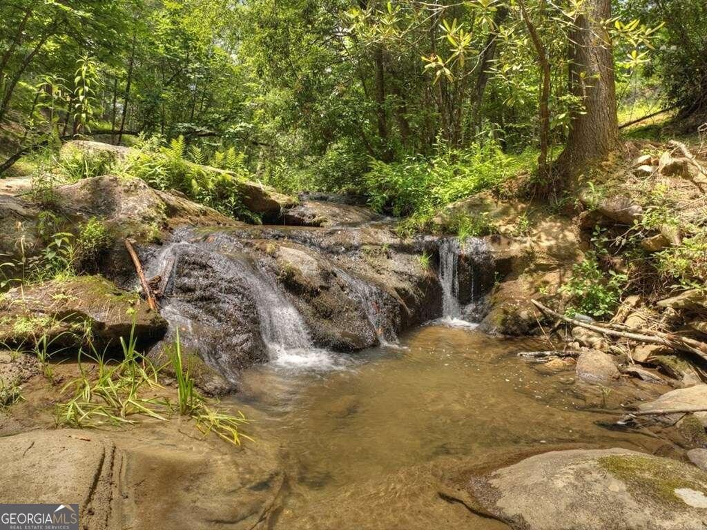 164 Water Dance Trail Blue Ridge - 38