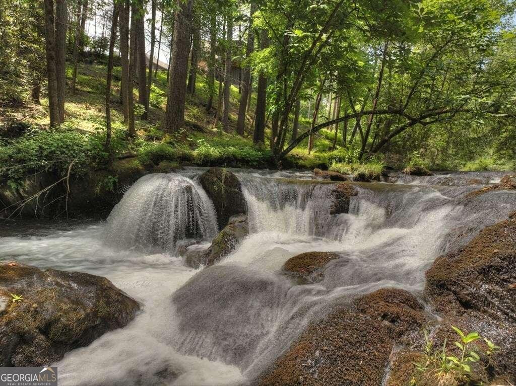 164 Water Dance Trail Blue Ridge - 6