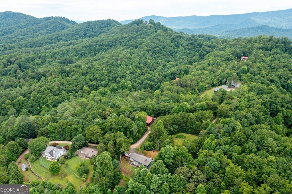 541 Old Dyer Drive Hayesville - 24