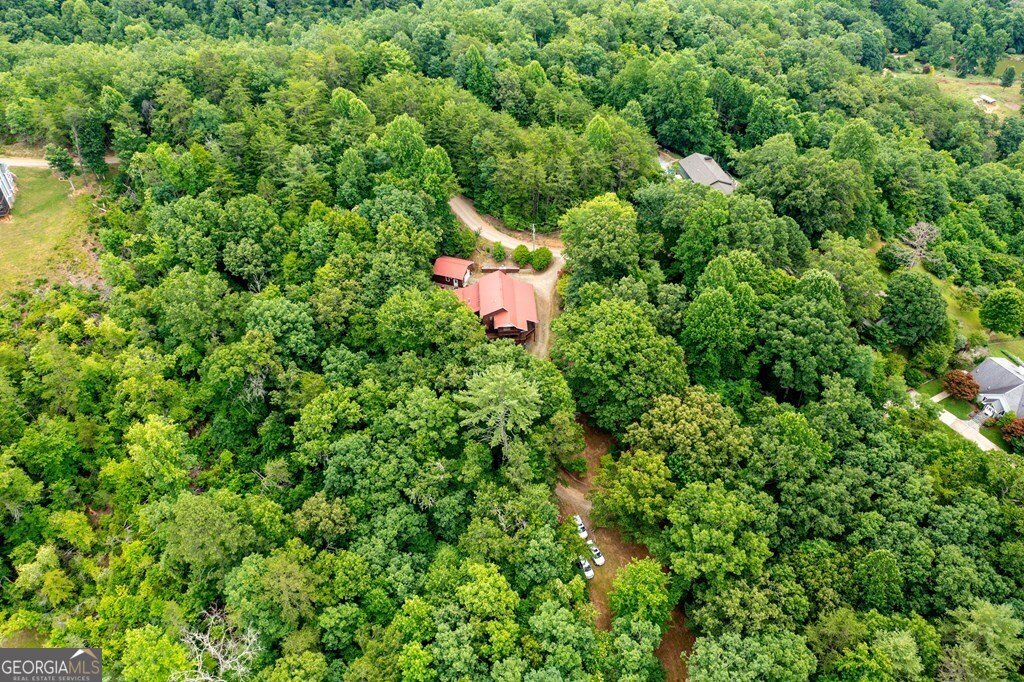 541 Old Dyer Drive Hayesville - 25