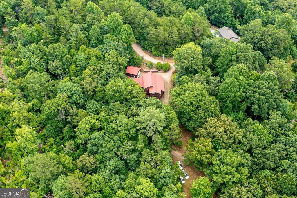 541 Old Dyer Drive Hayesville - 26