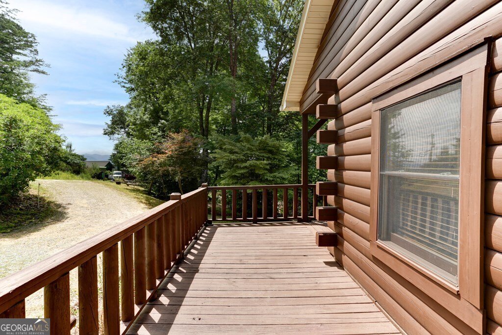 541 Old Dyer Drive Hayesville - 43