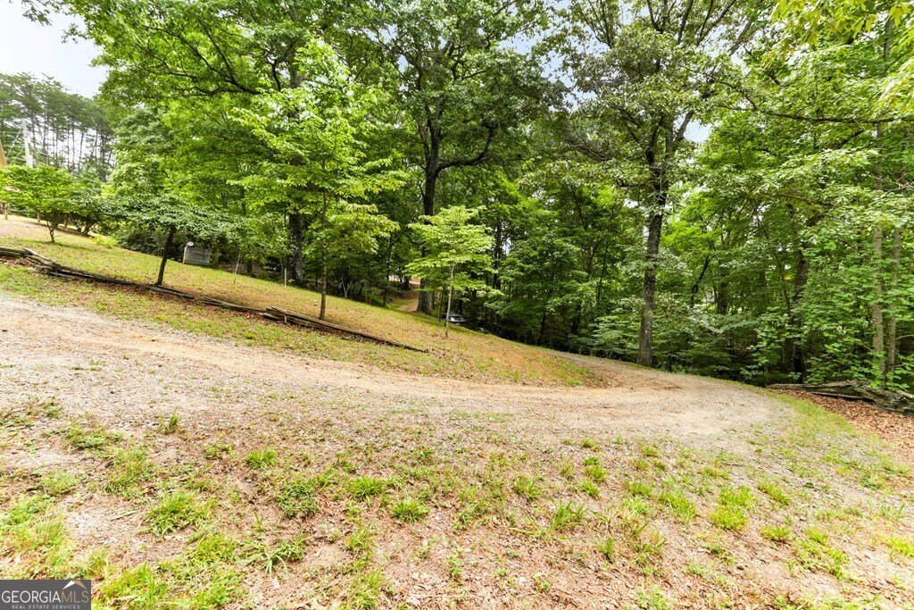 541 Old Dyer Drive Hayesville - 48