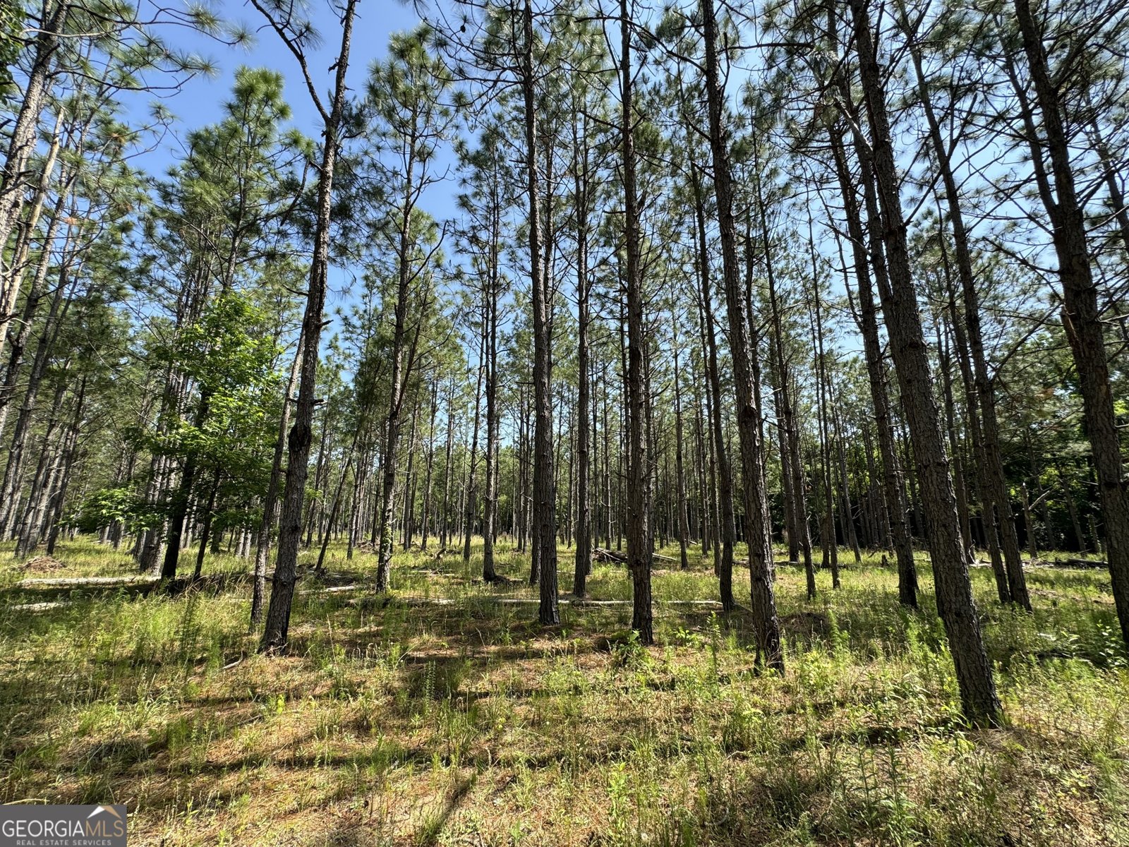 2805 Hwy 441 Rentz - 2