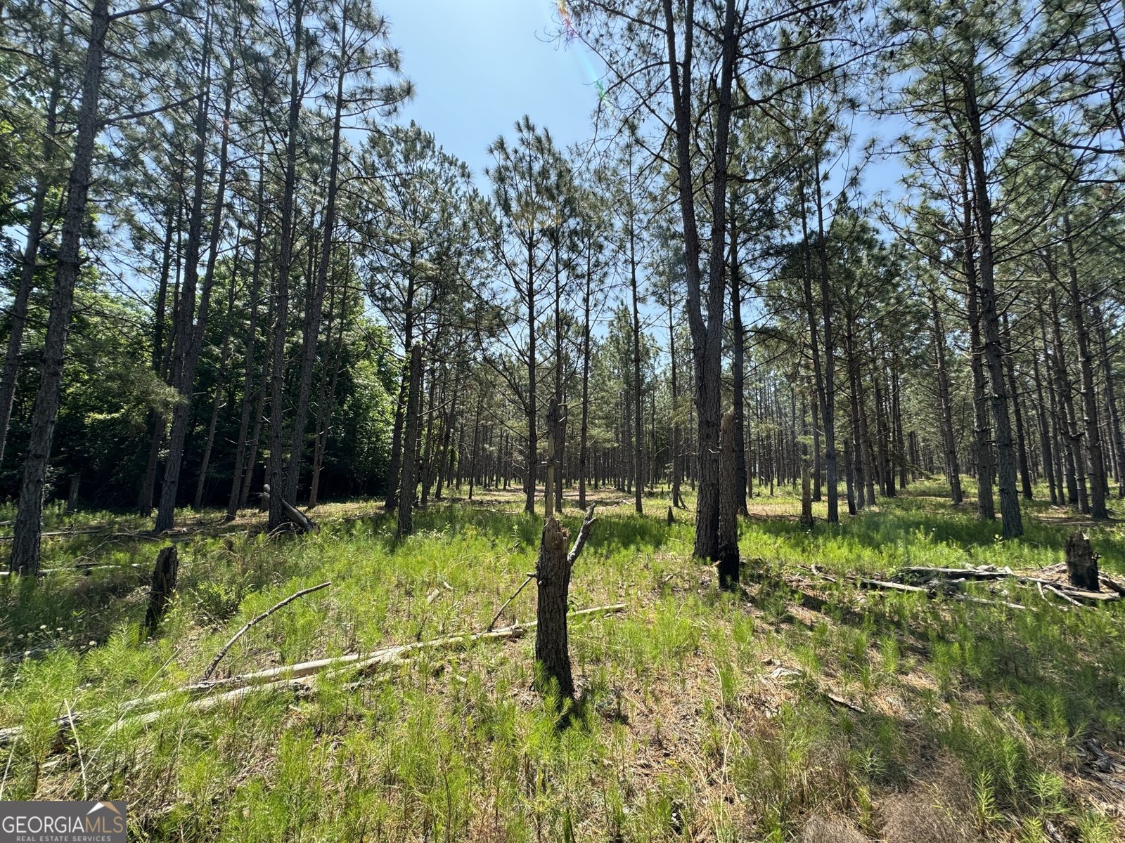 2805 Hwy 441 Rentz - 3