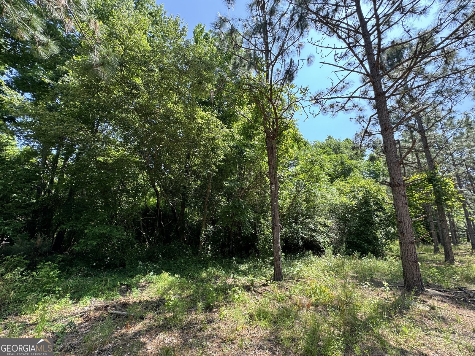 2805 Hwy 441 Rentz - 4