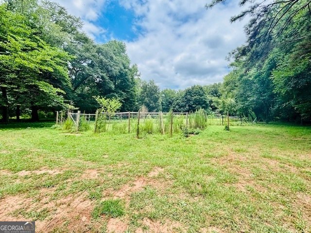 677 Zebulon Road Milner - 42