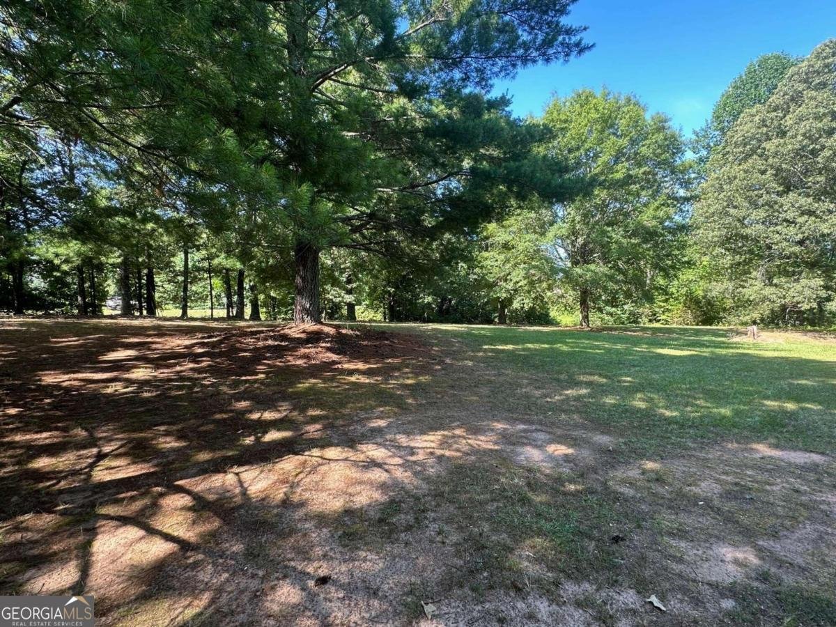 995 Lumpkin Cmpgd Road Dawsonville - 2