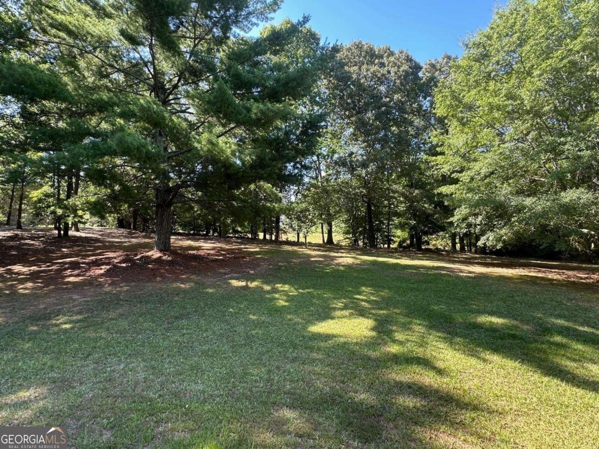 995 Lumpkin Cmpgd Road Dawsonville - 3