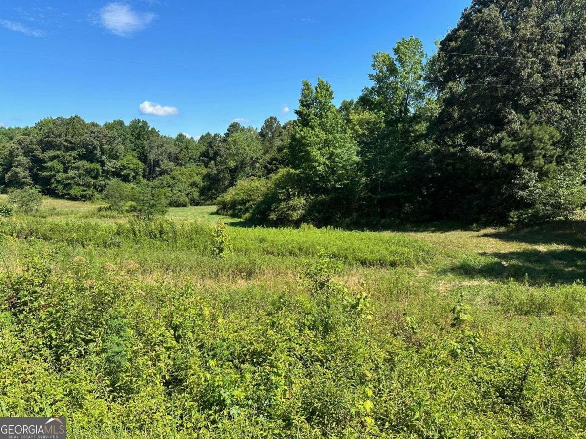 995 Lumpkin Cmpgd Road Dawsonville - 4