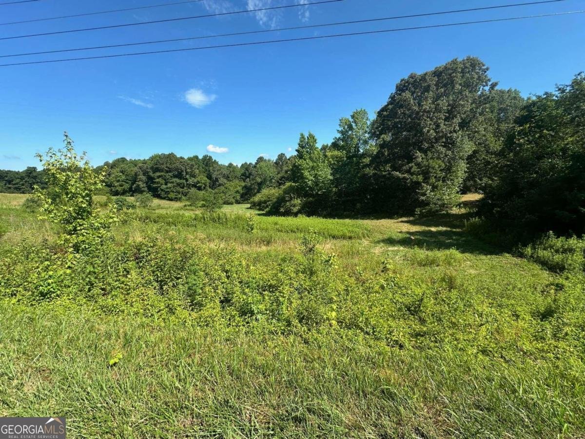995 Lumpkin Cmpgd Road Dawsonville - 5