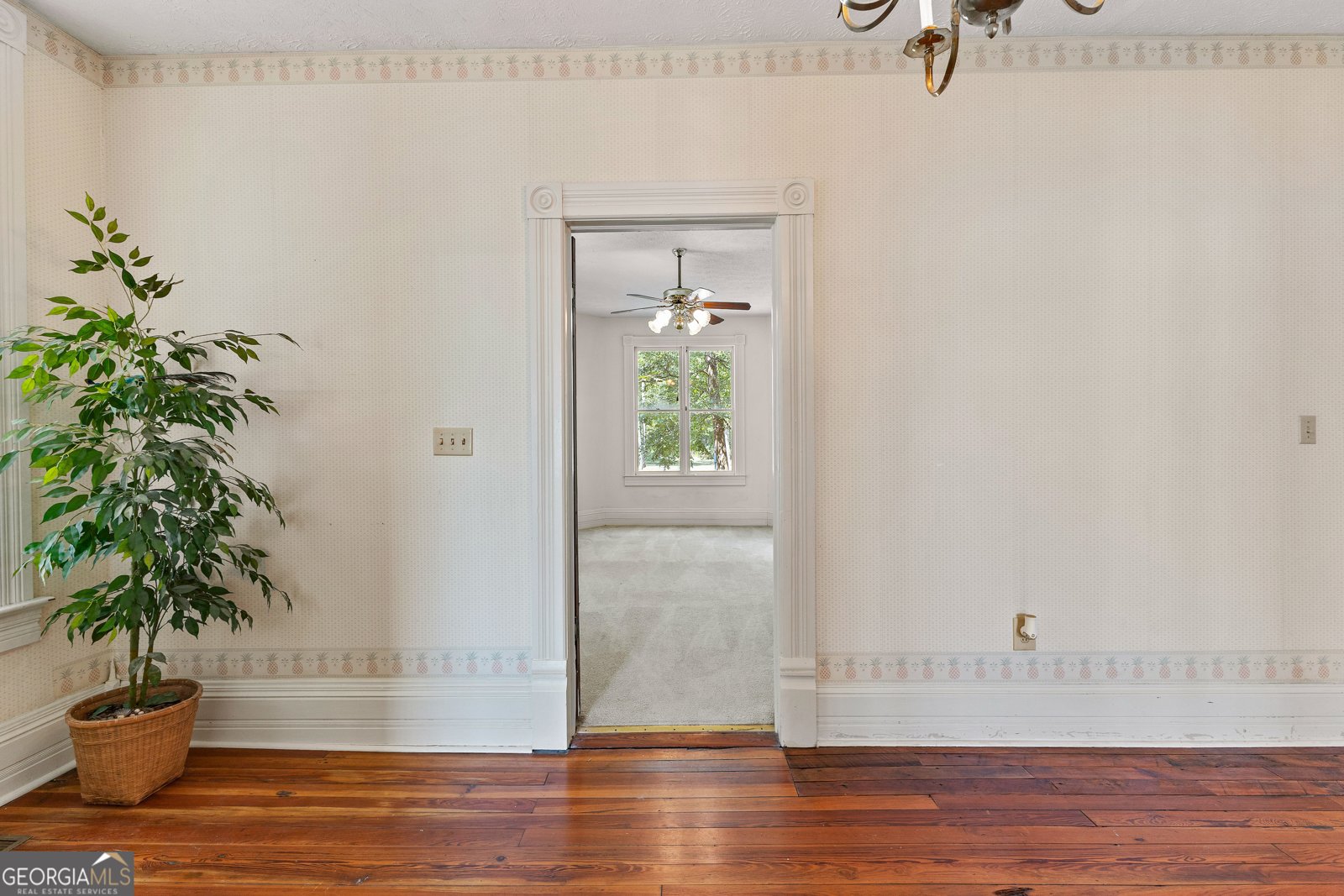 244 Turin Road Senoia - 15