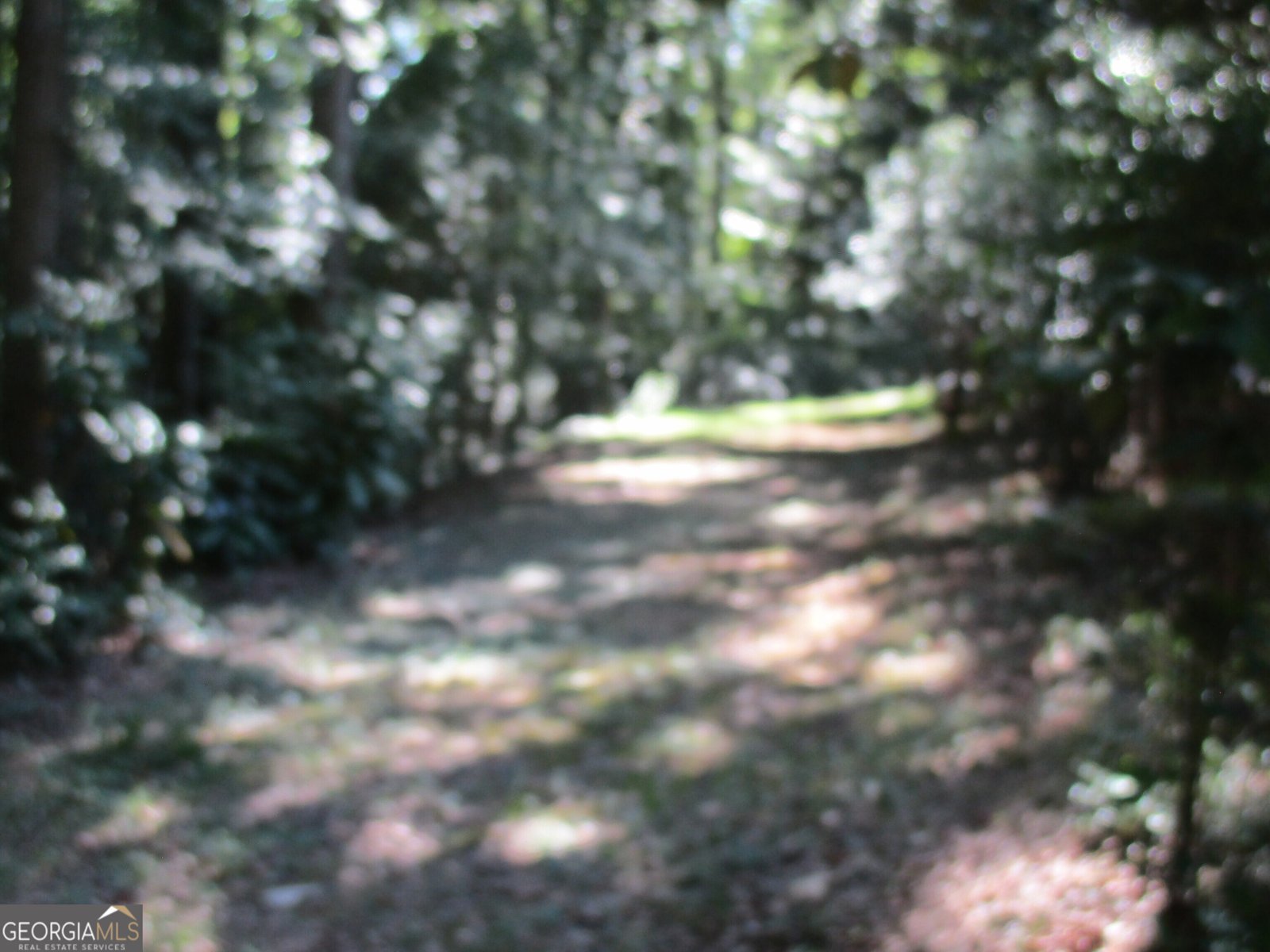 20352 Highway 441 Commerce - 9