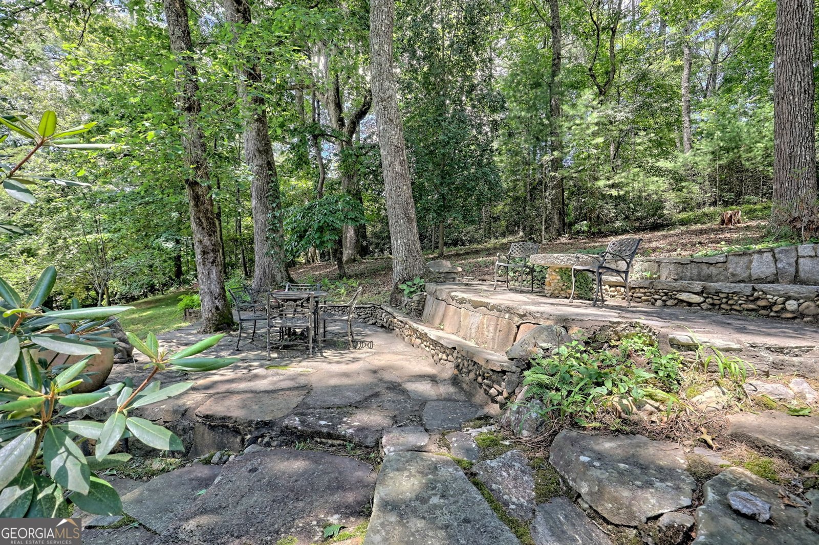 208 Colony Road Dillard - 38
