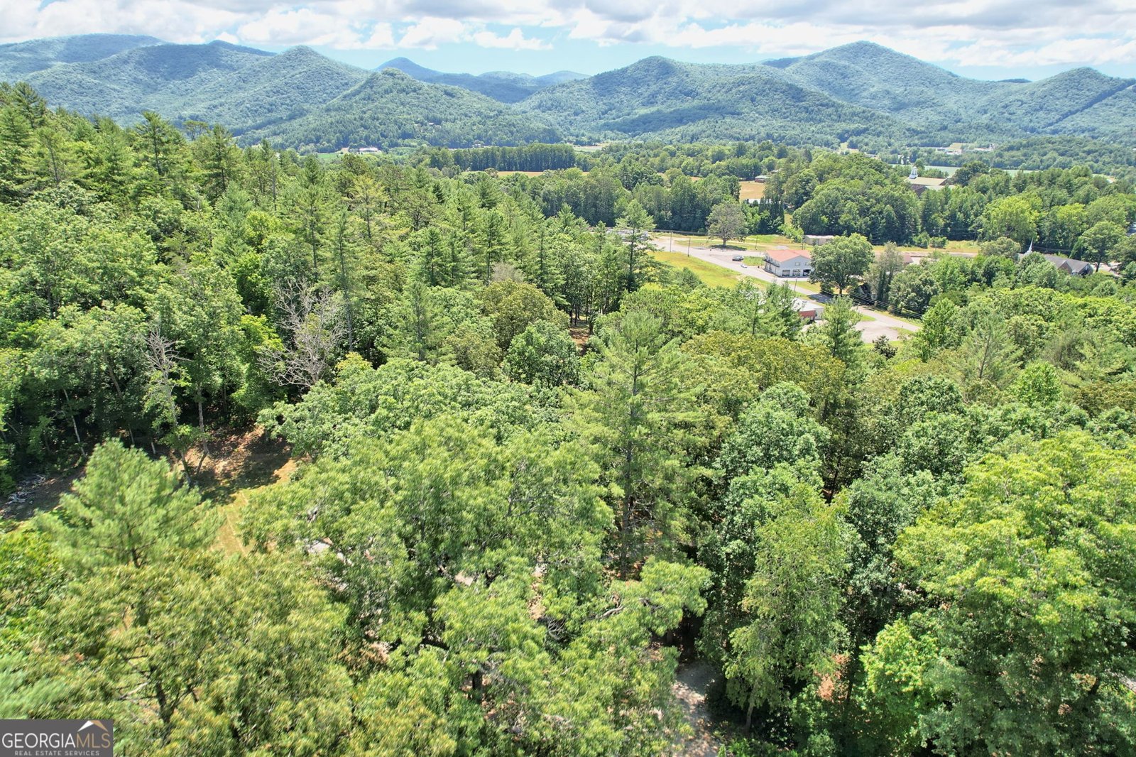 208 Colony Road Dillard - 56