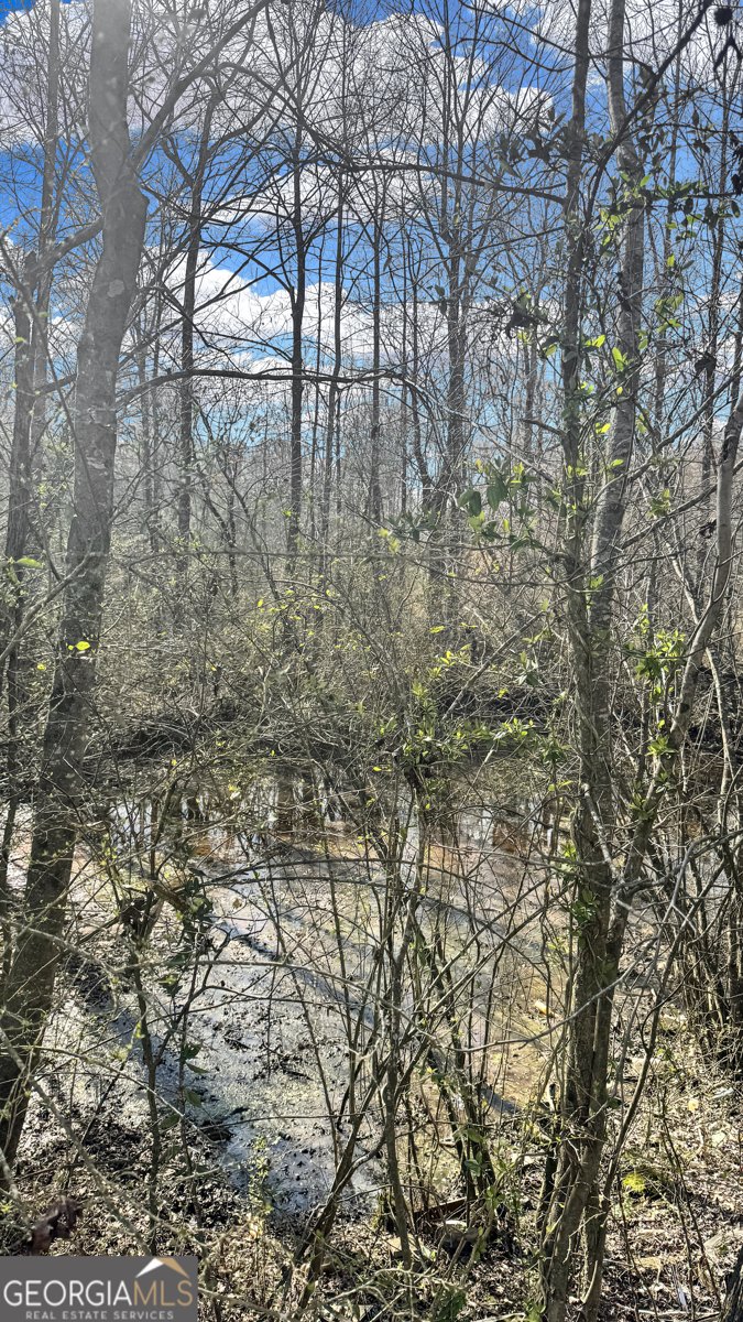 1203 Co Rd 49 Ranburne - 13